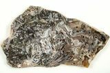 Polished Turkish Stick Agate Slab - Turkey #207921-1